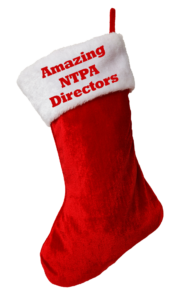 director stocking