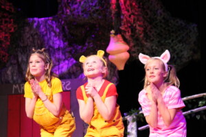 Three actors perform in NTPA Southlake's Winnie the Pooh Kids